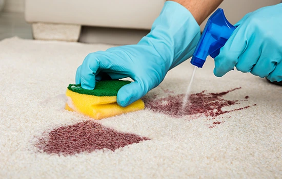 Stain Removal Services In Bradenton